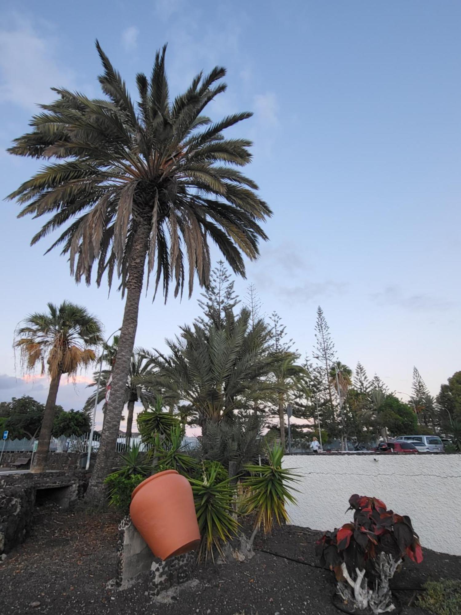 Casa Iry Apartment Costa Del Silencio Exterior photo
